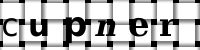 CAPTCHA image